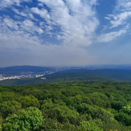 Spacious & Cleаn 4 Isolated For Groups Apartament *