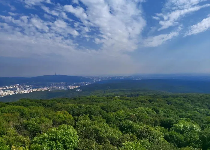 Spacious & Cleаn 4 Isolated For Groups Apartman *