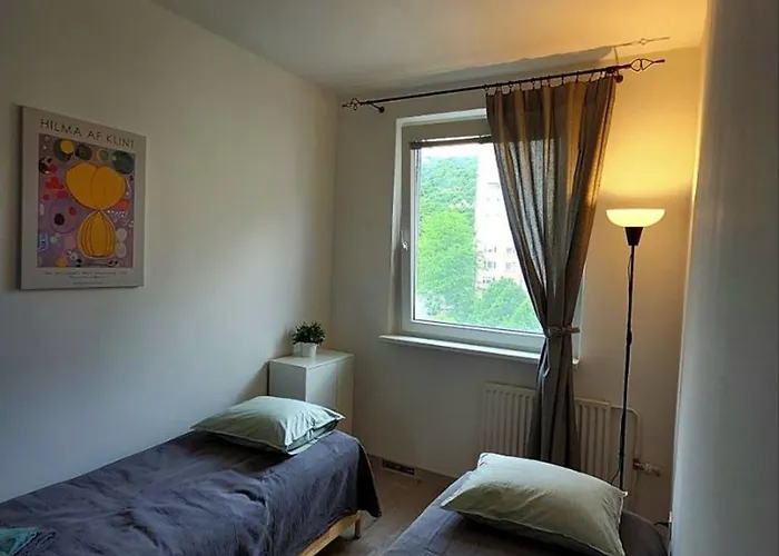 Spacious & Cleаn 4 Isolated For Groups Apartman